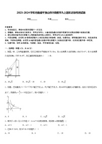 2023-2024学年河南省平顶山市叶县数学九上期末达标检测试题含答案