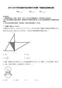 2023-2024学年河南省平顶山市数学九年级第一学期期末监测模拟试题含答案