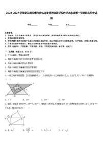 2023-2024学年浙江省杭州市余杭区英特外国语学校数学九年级第一学期期末统考试题含答案