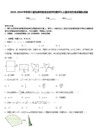 2023-2024学年浙江省杭州市景成实验学校数学九上期末综合测试模拟试题含答案