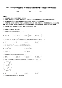 2023-2024学年海南省海口市丰南中学九年级数学第一学期期末联考模拟试题含答案