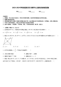 2023-2024学年湖北利川文斗数学九上期末达标测试试题含答案