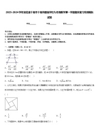 2023-2024学年湖北省十堰市十堰外国语学校九年级数学第一学期期末复习检测模拟试题含答案