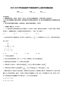 2023-2024学年湖北省咸宁市咸安区数学九上期末考试模拟试题含答案