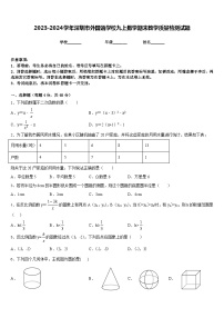 2023-2024学年深圳市外国语学校九上数学期末教学质量检测试题含答案