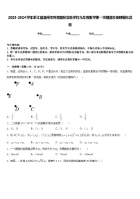 2023-2024学年浙江省温州市育英国际实验学校九年级数学第一学期期末调研模拟试题含答案