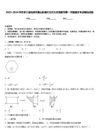 2023-2024学年浙江省杭州市萧山区厢片五校九年级数学第一学期期末考试模拟试题含答案