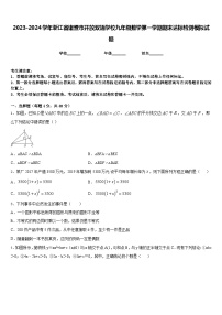 2023-2024学年浙江省诸暨市开放双语学校九年级数学第一学期期末达标检测模拟试题含答案