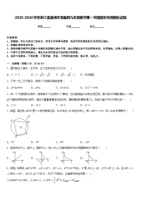 2023-2024学年浙江省温州市苍南县九年级数学第一学期期末检测模拟试题含答案