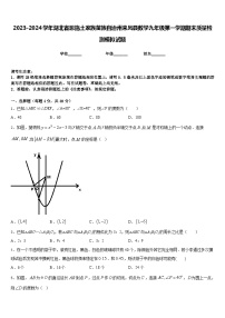 2023-2024学年湖北省恩施土家族苗族自治州来凤县数学九年级第一学期期末质量检测模拟试题含答案