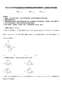 2023-2024学年湖北省恩施土家族苗族自治州咸丰县数学九上期末复习检测试题含答案