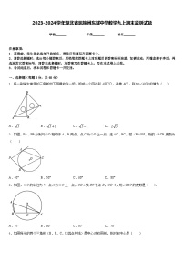 2023-2024学年湖北省恩施州东城中学数学九上期末监测试题含答案