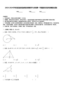 2023-2024学年湖北省恩施州宣恩县数学九年级第一学期期末质量检测模拟试题含答案