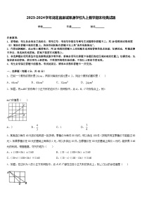 2023-2024学年湖北省麻城思源学校九上数学期末经典试题含答案