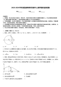 2023-2024学年湖北省荆州市洪湖市九上数学期末监测试题含答案