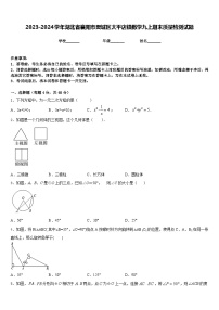 2023-2024学年湖北省襄阳市樊城区太平店镇数学九上期末质量检测试题含答案