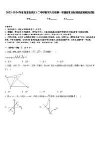 2023-2024学年湖北省武汉十二中学数学九年级第一学期期末质量跟踪监视模拟试题含答案