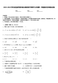 2023-2024学年湖北省枣阳市鹿头镇初级中学数学九年级第一学期期末统考模拟试题含答案