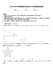 2023-2024学年湖北省荆门市京山市九上数学期末监测试题含答案