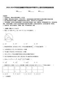 2023-2024学年湖北省襄阳市枣阳实验中学数学九上期末质量跟踪监视试题含答案