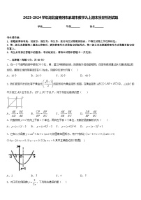 2023-2024学年湖北省黄冈市麻城市数学九上期末质量检测试题含答案