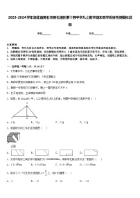 2023-2024学年湖北省黄石市黄石港区第十四中学九上数学期末教学质量检测模拟试题含答案