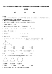 2023-2024学年湖北省黄石市黄石十四中学教育集团九年级数学第一学期期末联考模拟试题含答案