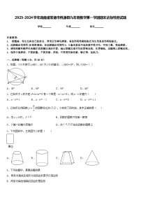 2023-2024学年湖南省常德市桃源县九年级数学第一学期期末达标检测试题含答案