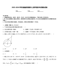 2023-2024学年湖南省桂阳县九上数学期末考试模拟试题含答案