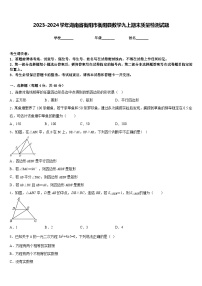 2023-2024学年湖南省衡阳市衡阳县数学九上期末质量检测试题含答案