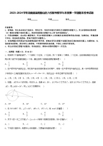 2023-2024学年湖南省益阳赫山区六校联考数学九年级第一学期期末统考试题含答案