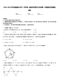 2023-2024学年湖南省长沙市一中学湘一南湖学校数学九年级第一学期期末检测模拟试题含答案
