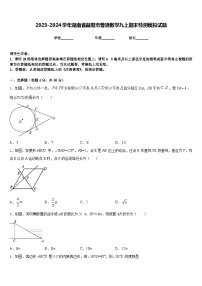 2023-2024学年湖南省益阳市普通数学九上期末检测模拟试题含答案