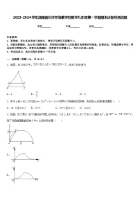 2023-2024学年湖南省长沙市怡雅学校数学九年级第一学期期末达标检测试题含答案