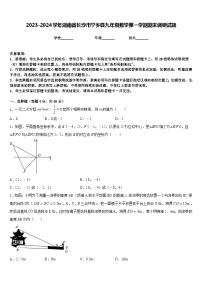 2023-2024学年湖南省长沙市宁乡县九年级数学第一学期期末调研试题含答案