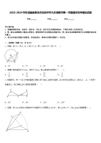 2023-2024学年湖南省娄底市实验中学九年级数学第一学期期末统考模拟试题含答案