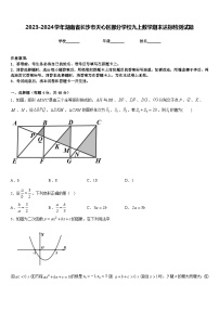 2023-2024学年湖南省长沙市天心区部分学校九上数学期末达标检测试题含答案