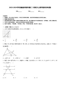 2023-2024学年湖南省岳阳市城区二十四校九上数学期末统考试题含答案