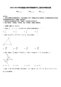 2023-2024学年湖南省永州市祁阳县数学九上期末统考模拟试题含答案