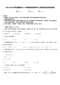 2023-2024学年湖南省长沙一中学雨花新华都学校九上数学期末达标检测试题含答案