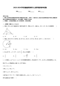 2023-2024学年湖南省株洲市九上数学期末联考试题含答案