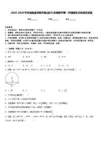 2023-2024学年湖南省岳阳市君山区九年级数学第一学期期末达标测试试题含答案