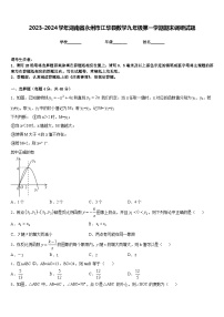 2023-2024学年湖南省永州市江华县数学九年级第一学期期末调研试题含答案