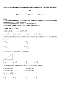 2023-2024学年湖南省长沙市开福区青竹湖湘一外国语学校九上数学期末达标测试试题含答案