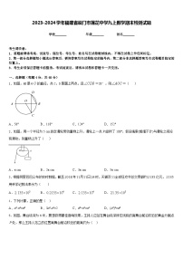 2023-2024学年福建省厦门市莲花中学九上数学期末检测试题含答案