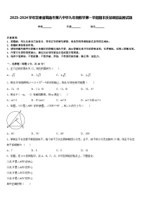 2023-2024学年甘肃省陇南市第八中学九年级数学第一学期期末质量跟踪监视试题含答案