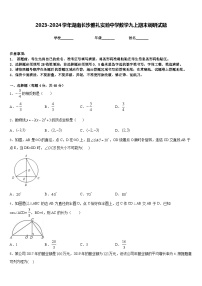 2023-2024学年湖南长沙雅礼实验中学数学九上期末调研试题含答案