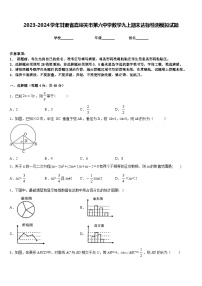 2023-2024学年甘肃省嘉峪关市第六中学数学九上期末达标检测模拟试题含答案