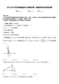 2023-2024学年甘肃省临夏市九年级数学第一学期期末教学质量检测试题含答案