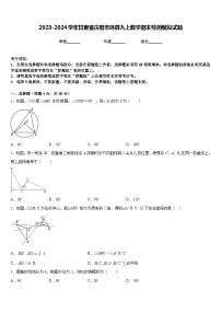 2023-2024学年甘肃省庆阳市环县九上数学期末检测模拟试题含答案